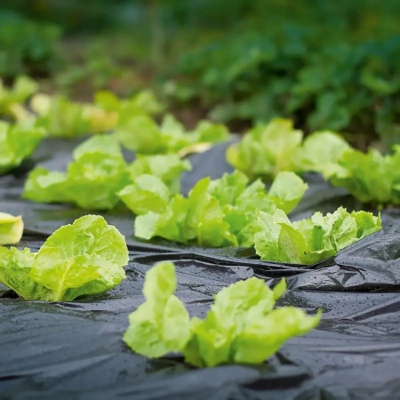 Пленка для мульчирования 1000 мм, 35мкм, 32кг, черное полотно